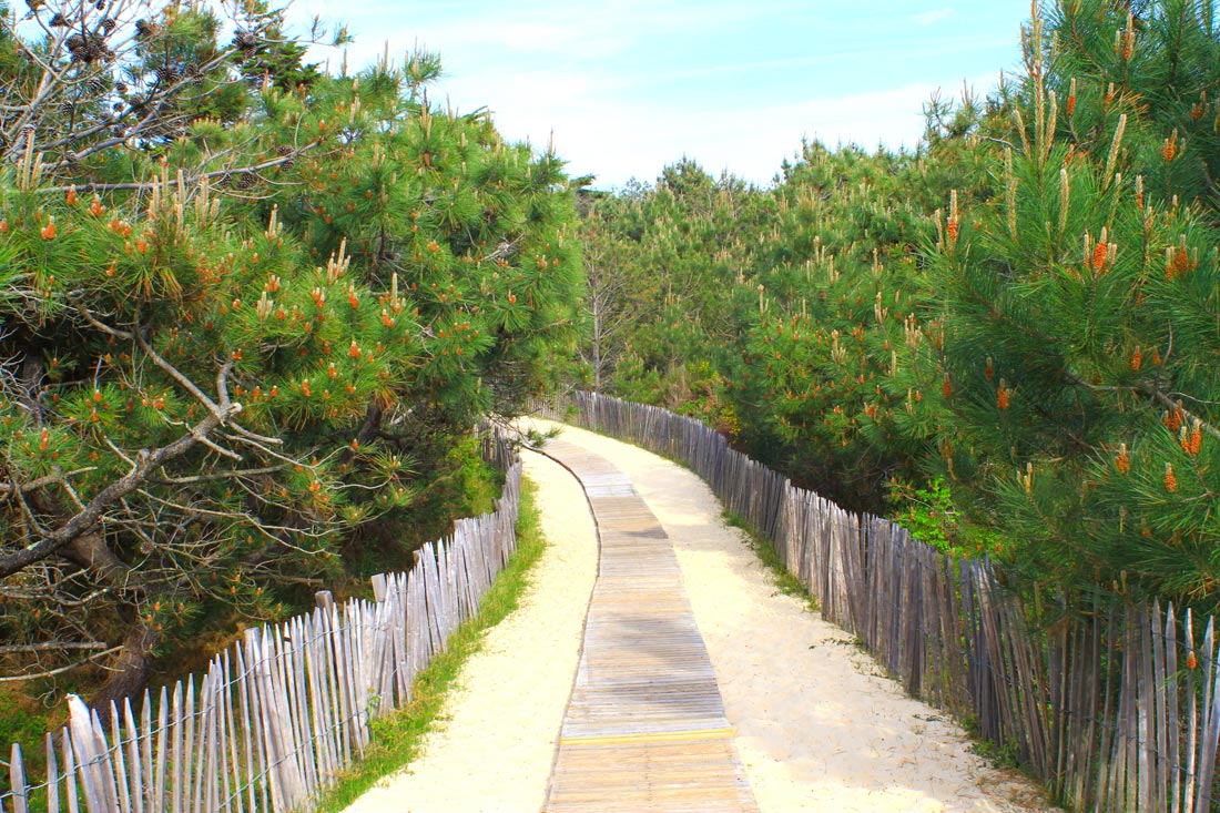Plage au bout de la rue, Mimizan, Landes, Nouvelle-Aquitaine Plage au bout de la rue, Mimizan, Landes, Nouvelle-Aquitaine