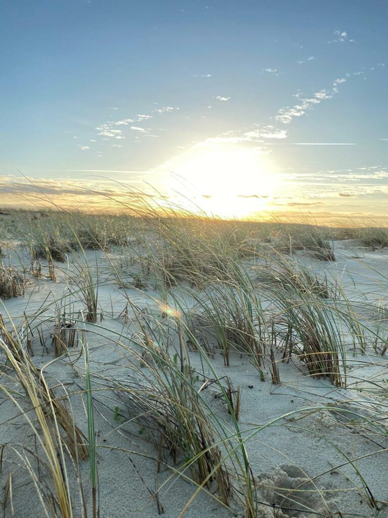 Lever de soleil sur les dunes à Mimizan